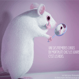 Famous : nouvelle campagne pour GAIA