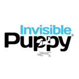 Een Senior Consultant voor Invisible Puppy