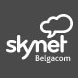 Servermigratie bij Skynet