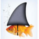Les vid�os de Think Big