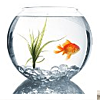 Conversics teste votre marketing online