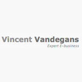 logo: Vandegansbe