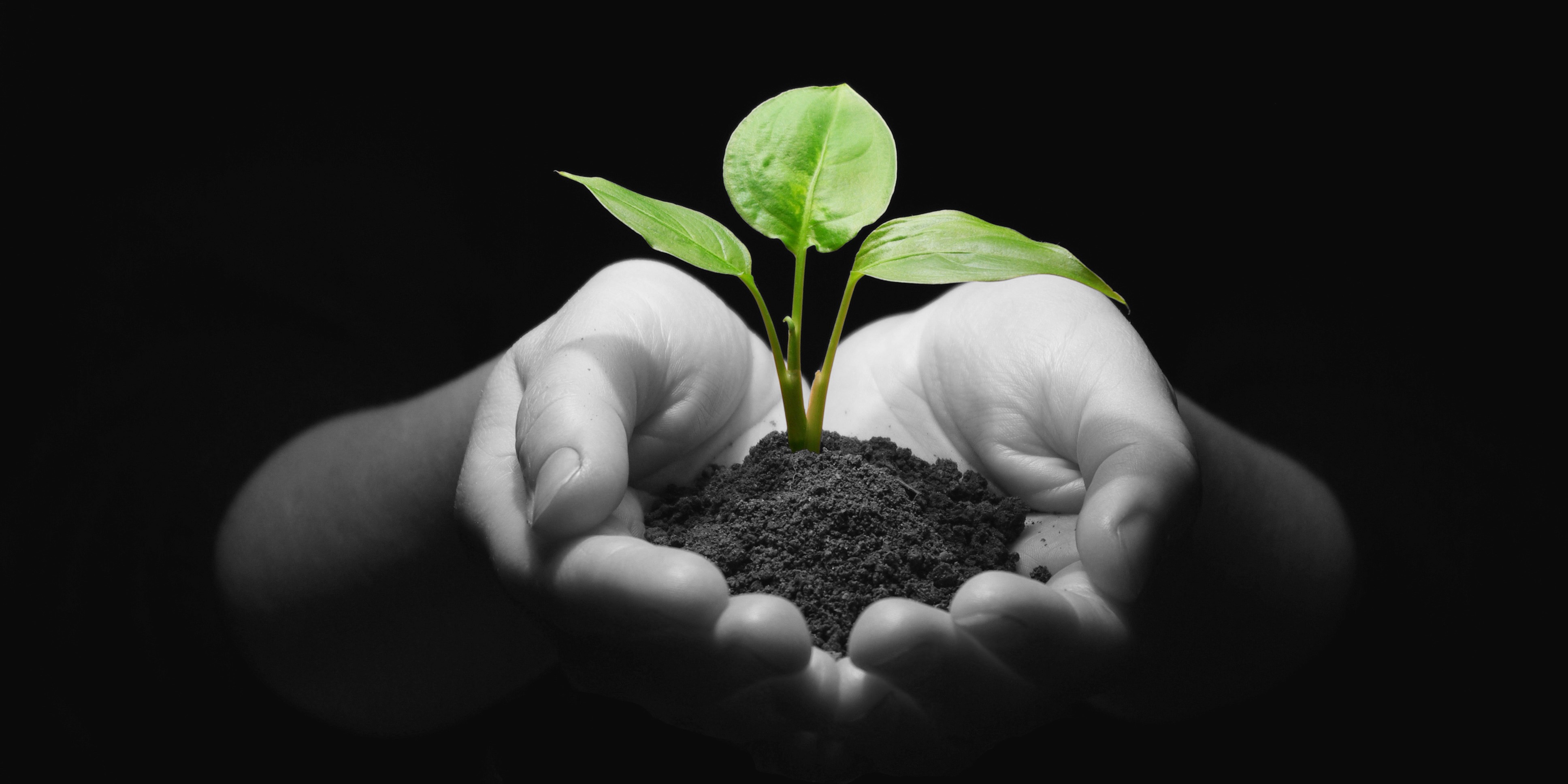 Start-ups’, een handleiding